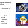 diapositiva14.png