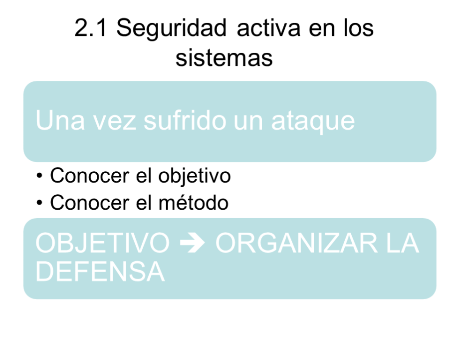 diapositiva3.png