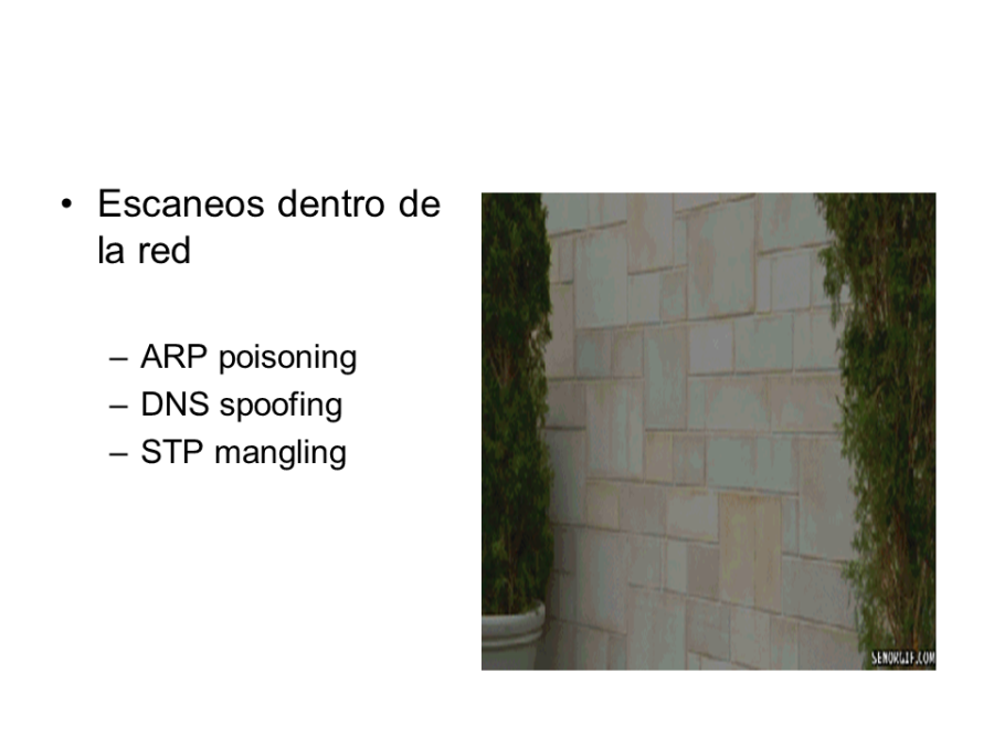 diapositiva88.png diapositiva88.png