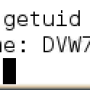 13.png
