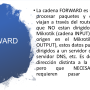 diapositiva13.png
