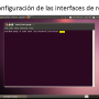 diapositiva4.png